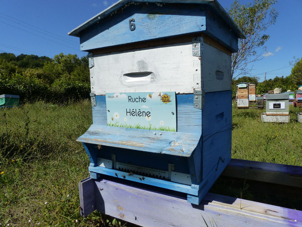 La ruche Hélène