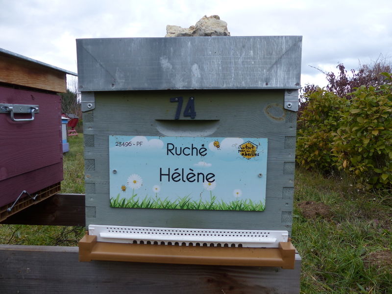 La ruche Hélène