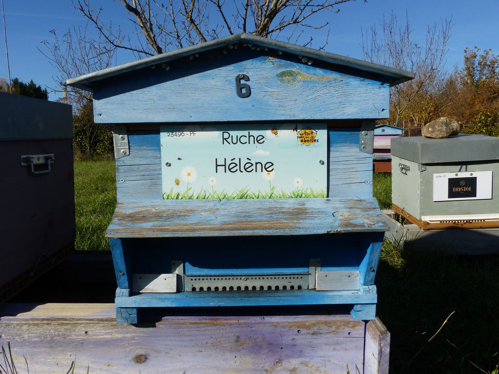 La ruche Hélène