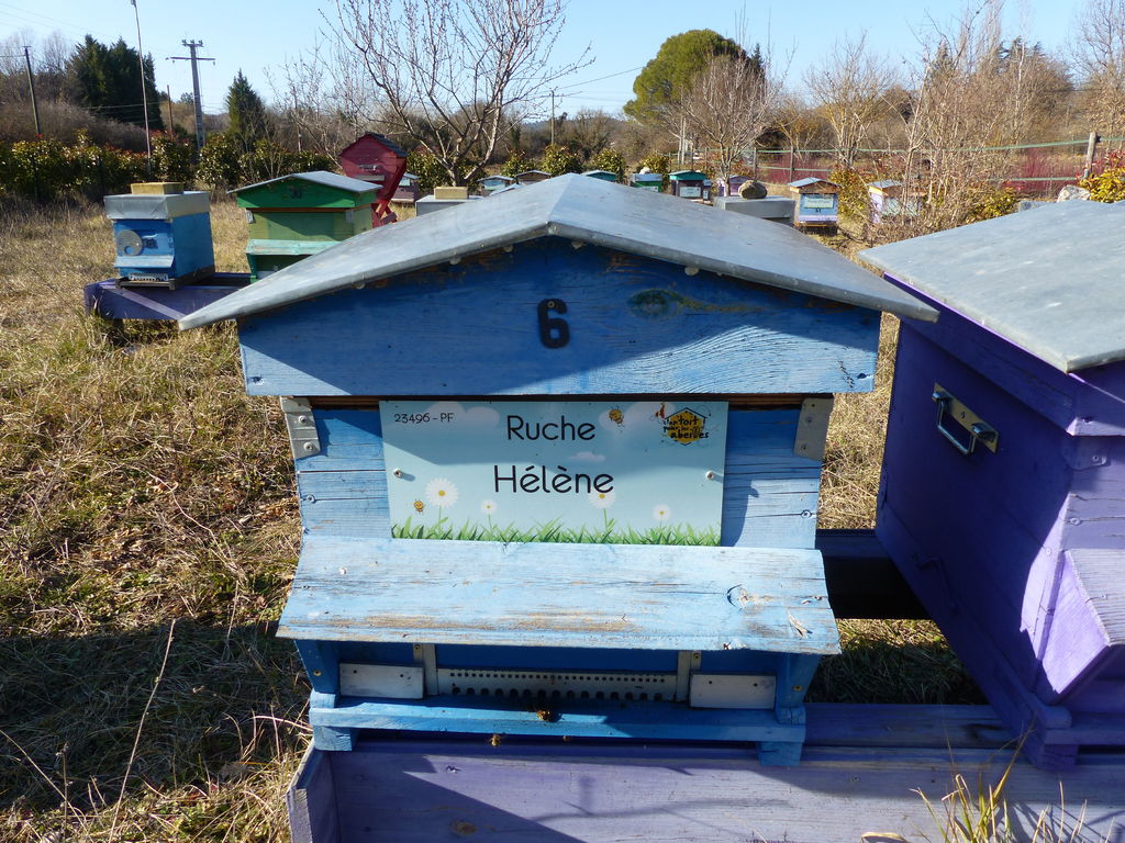La ruche Hélène
