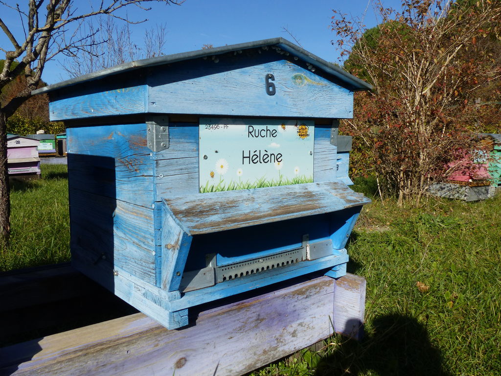 La ruche Hélène