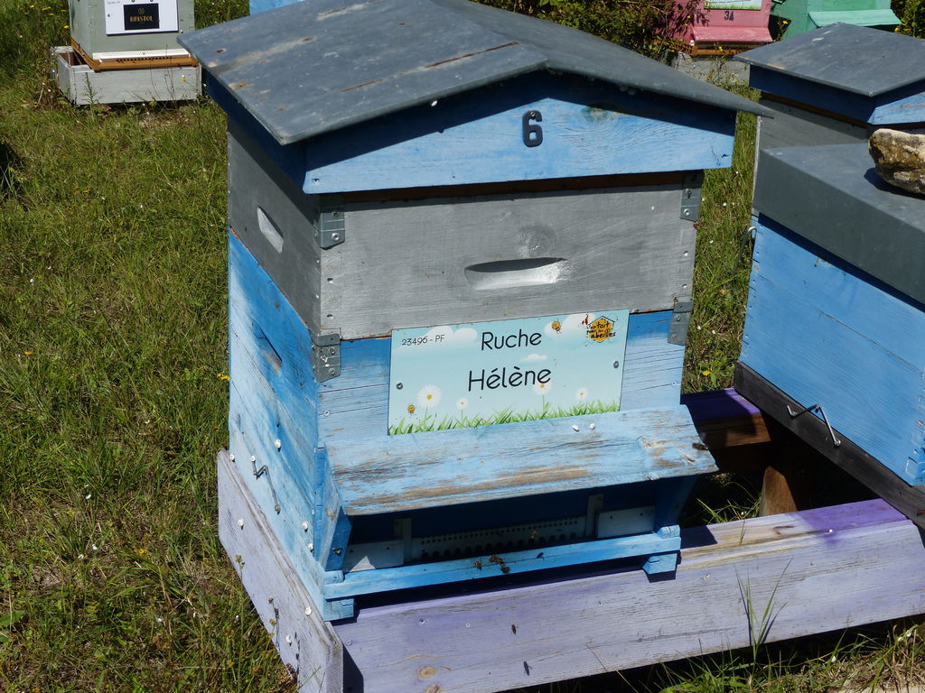 La ruche Hélène