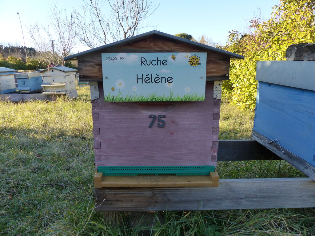 La ruche Hélène