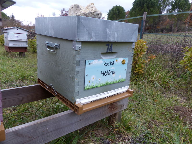 La ruche Hélène