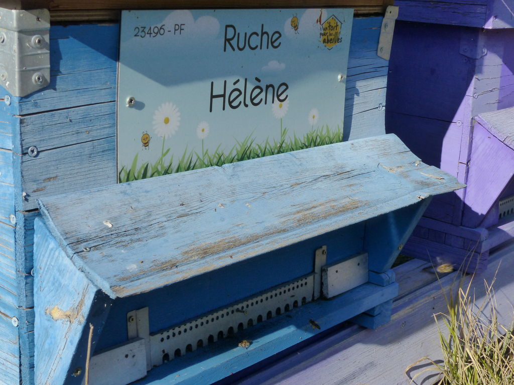 La ruche Hélène