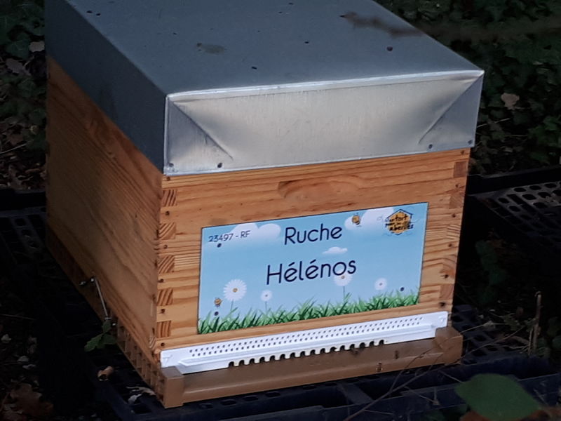La ruche
