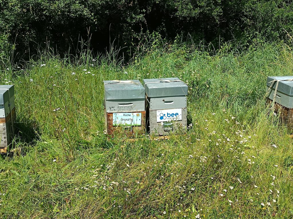 La ruche Bee engineering