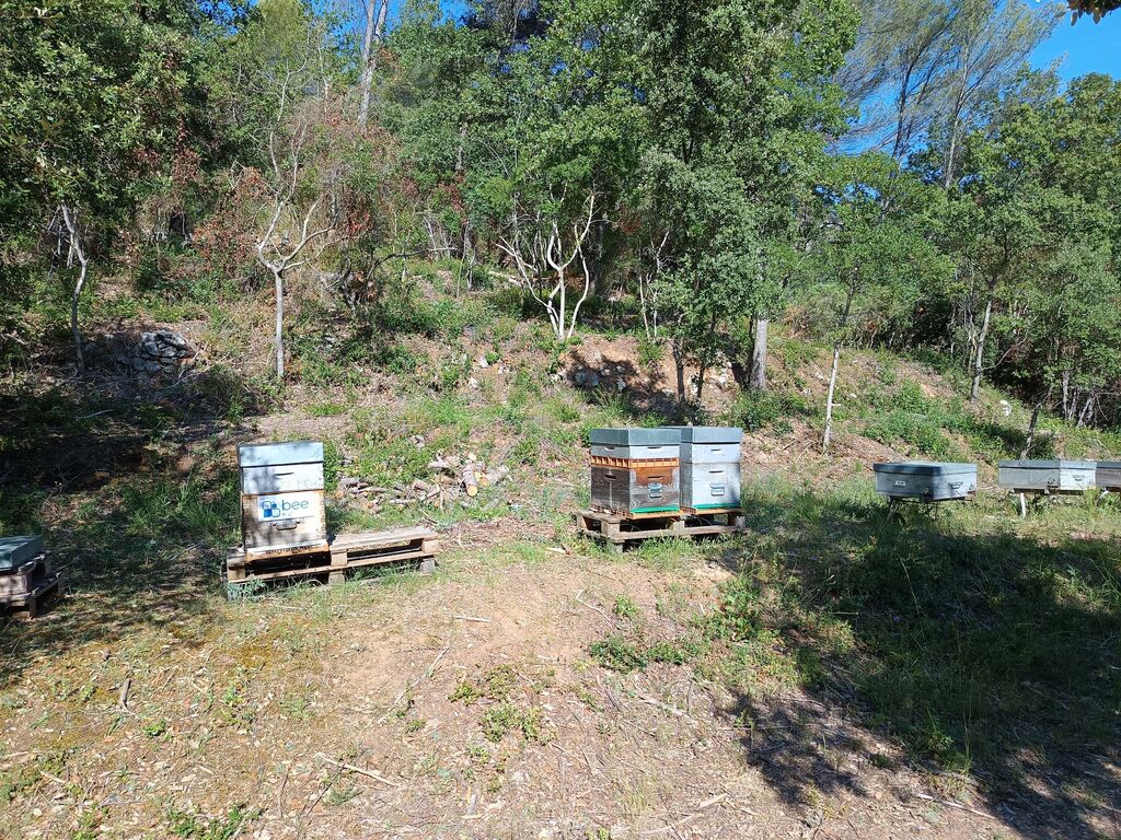 La ruche Bee engineering