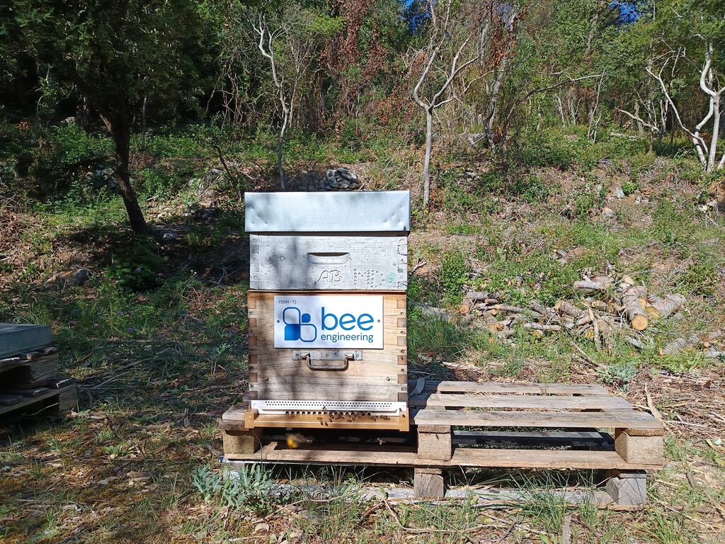 La ruche Bee engineering
