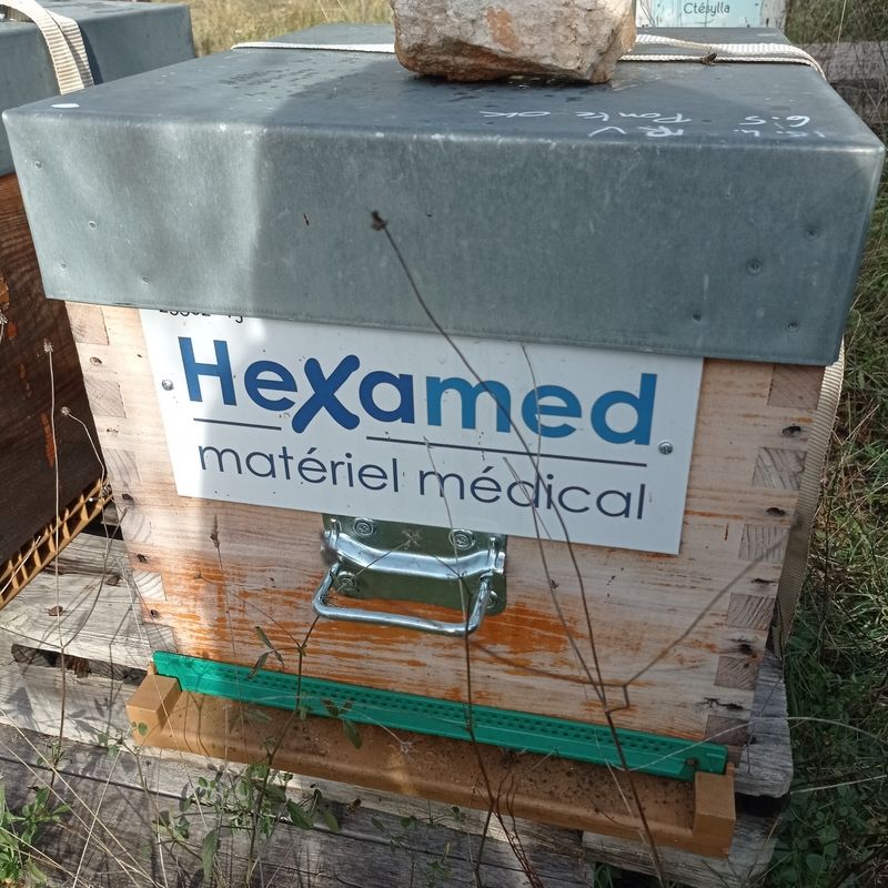 La ruche HEXAMED MATERIEL MEDICAL