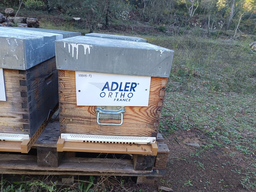 La ruche ADLER ORTHO FRANCE