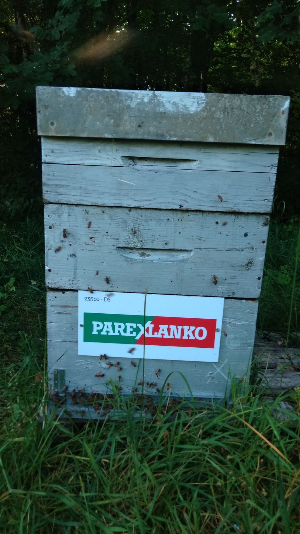 La ruche Parex lanko