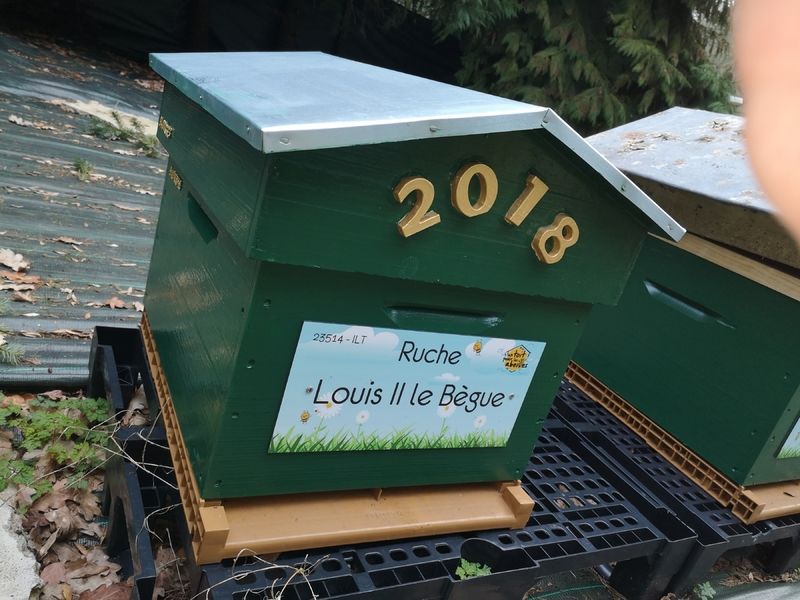 La ruche Louis II le Bègue