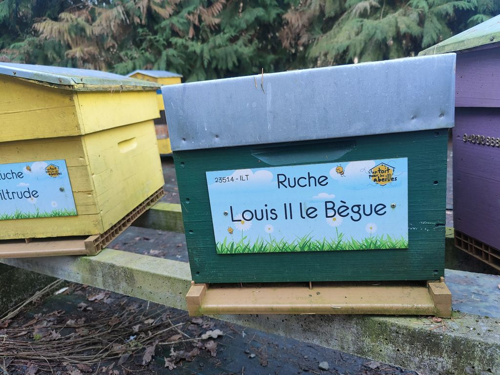 La ruche Louis II le Bègue
