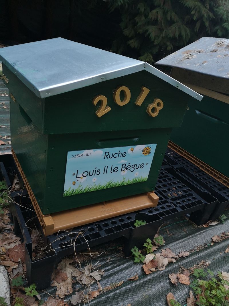 La ruche Louis II le Bègue
