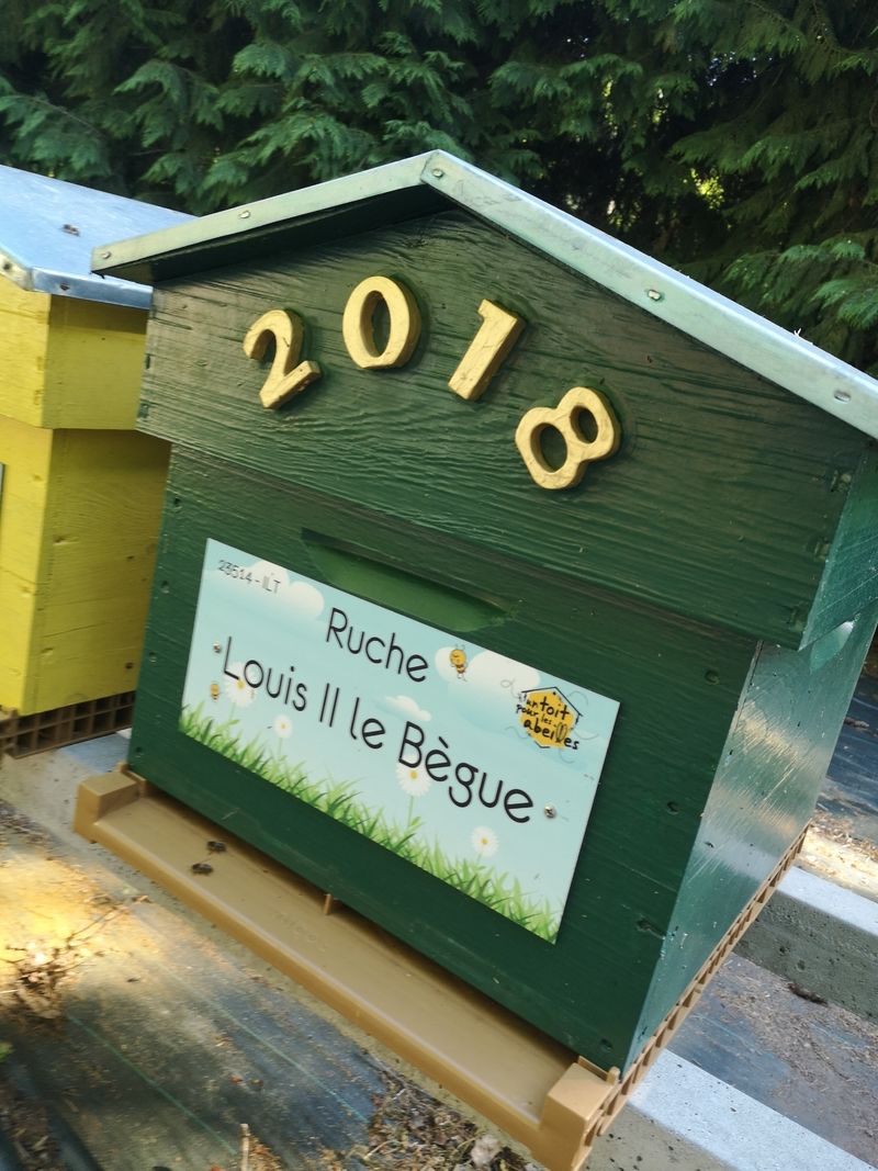 La ruche Louis II le Bègue
