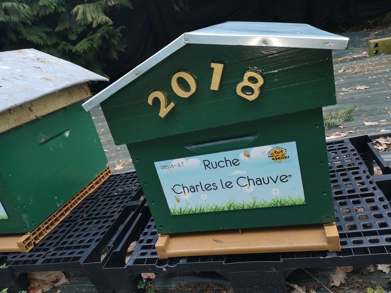 La ruche Charles le Chauve