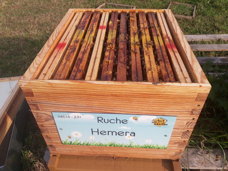 La ruche