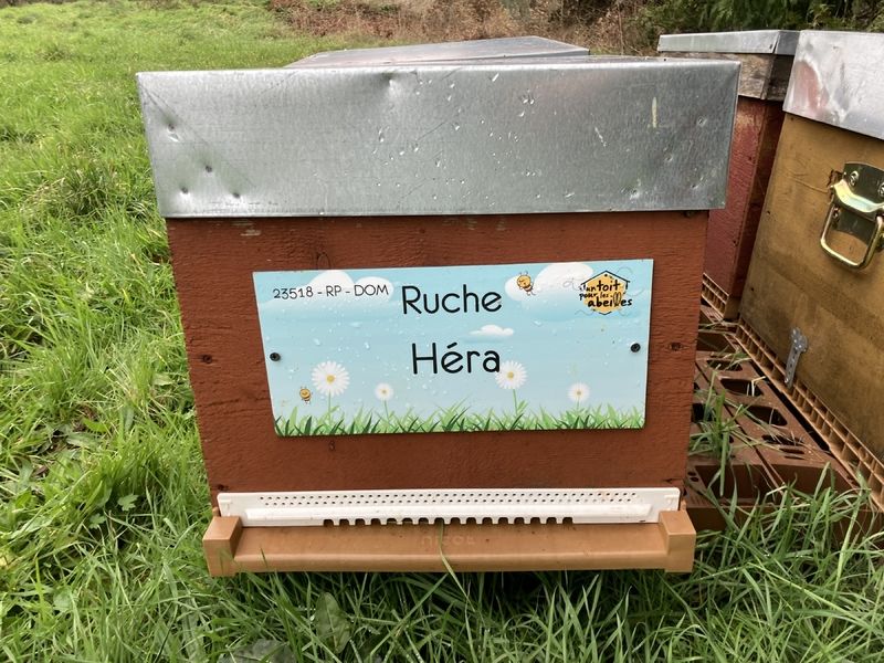 La ruche Héra