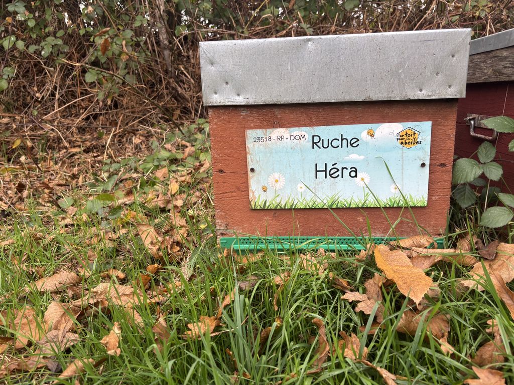 La ruche Héra