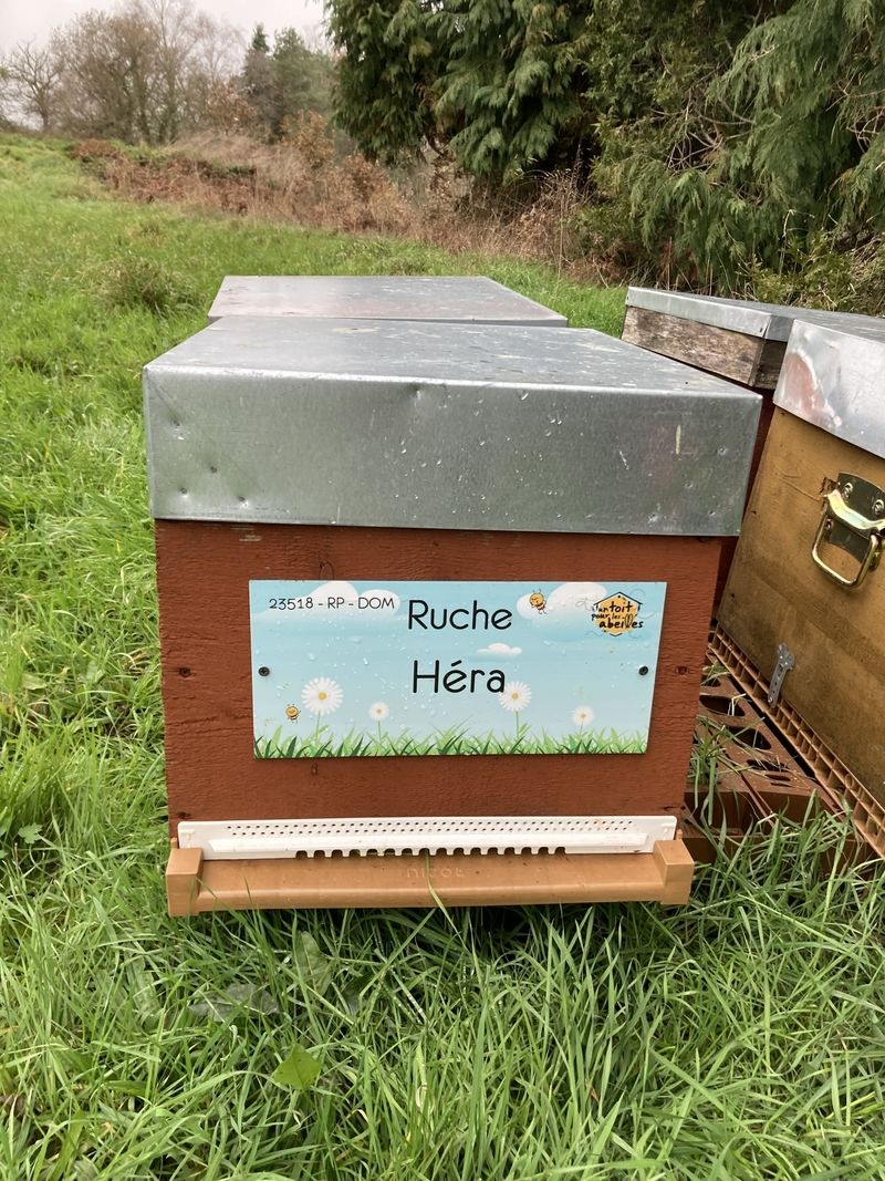 La ruche Héra
