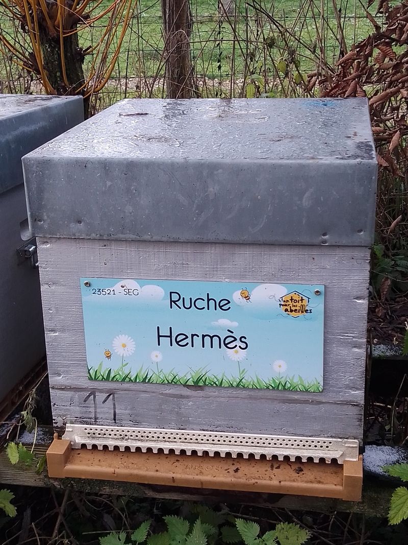 La ruche Hermès