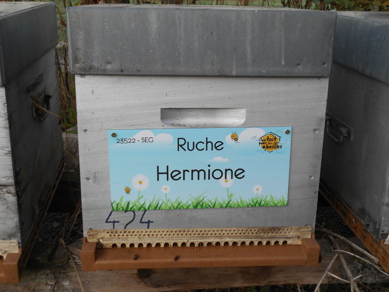 La ruche