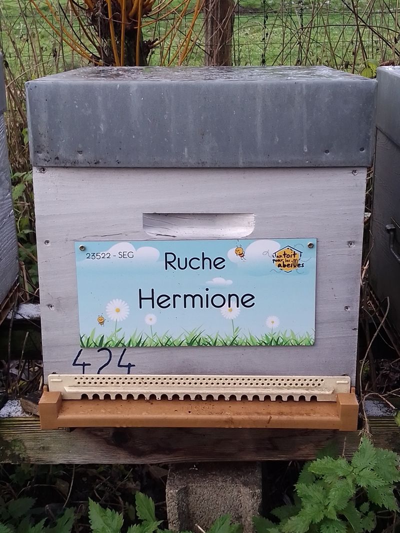 La ruche