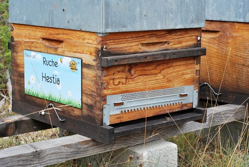 La ruche Hestia