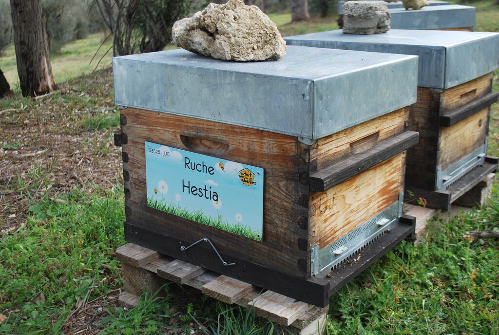 La ruche Hestia
