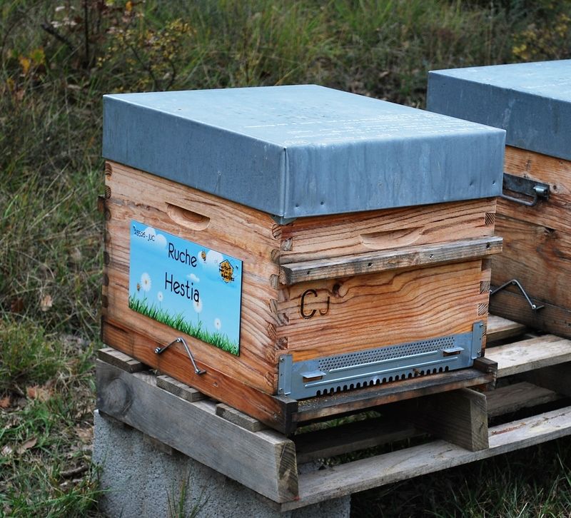 La ruche Hestia