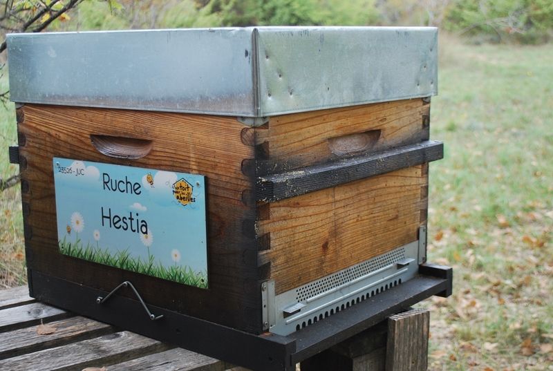 La ruche Hestia
