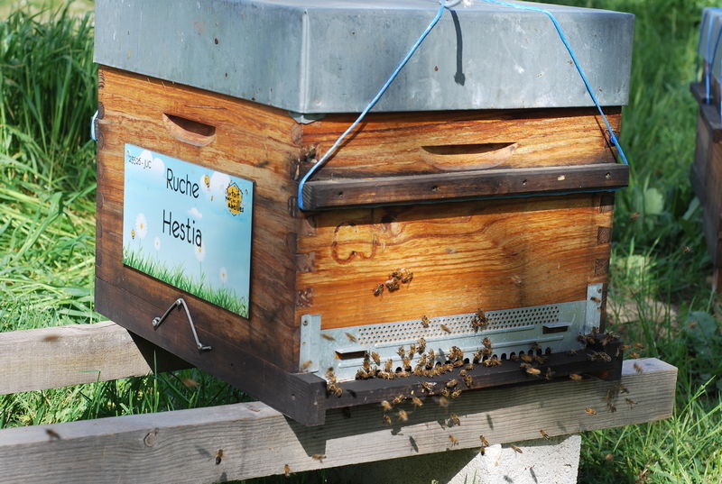 La ruche Hestia