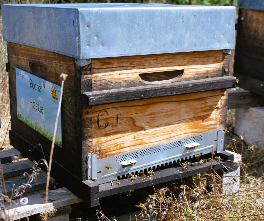 La ruche Hestia