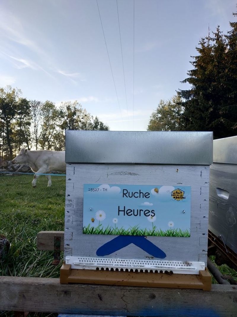 La ruche