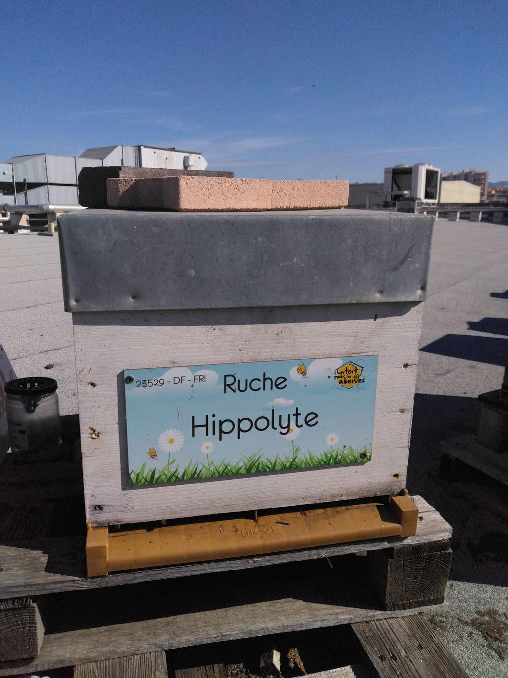 La ruche Hippolyte