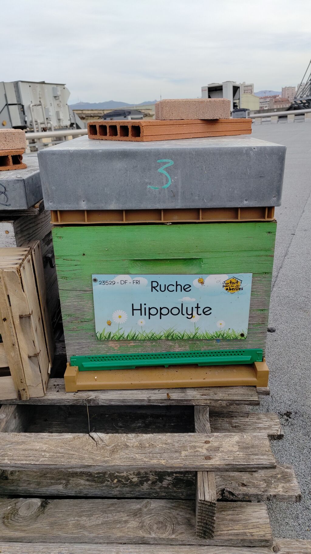 La ruche Hippolyte