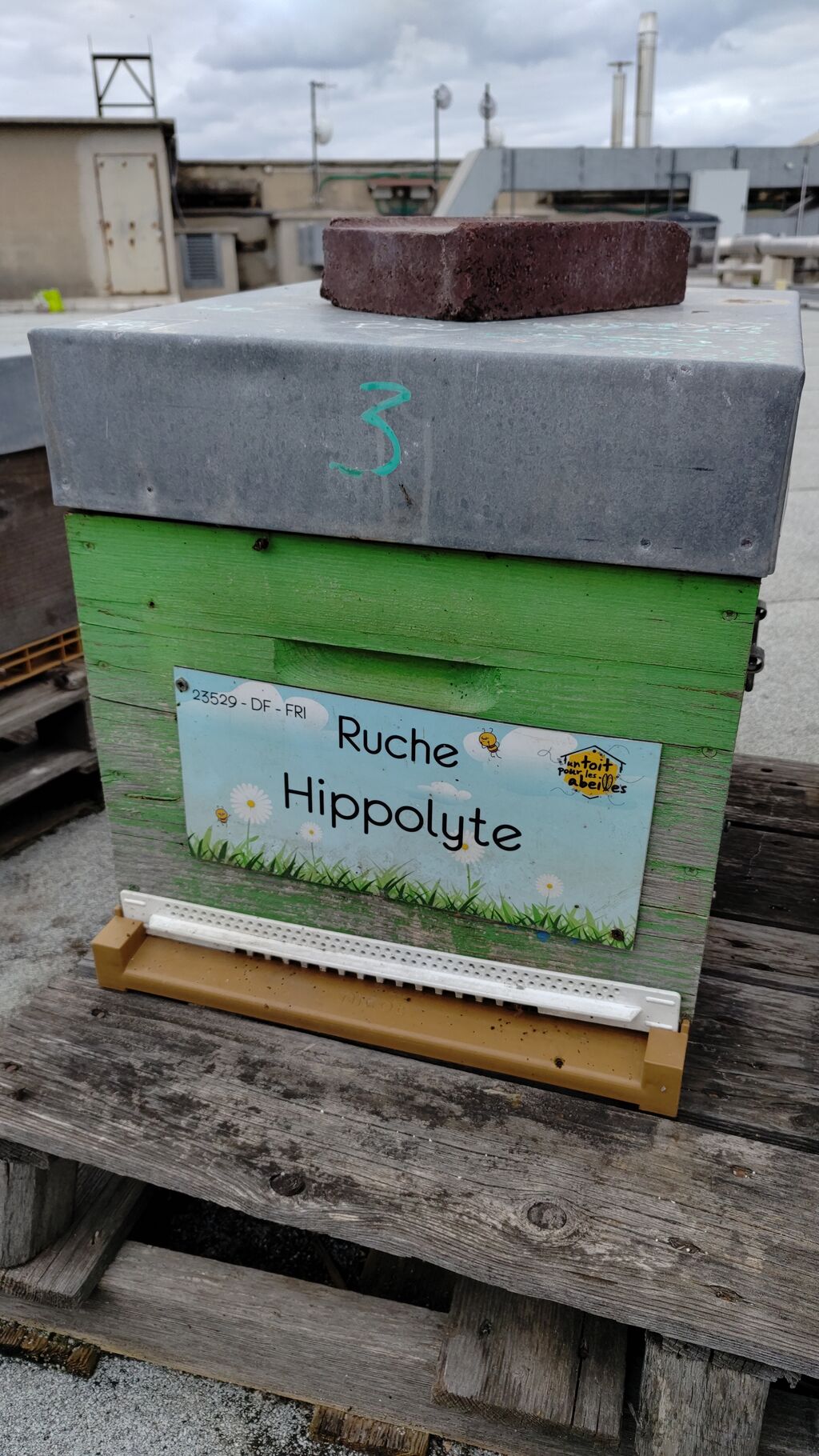 La ruche Hippolyte