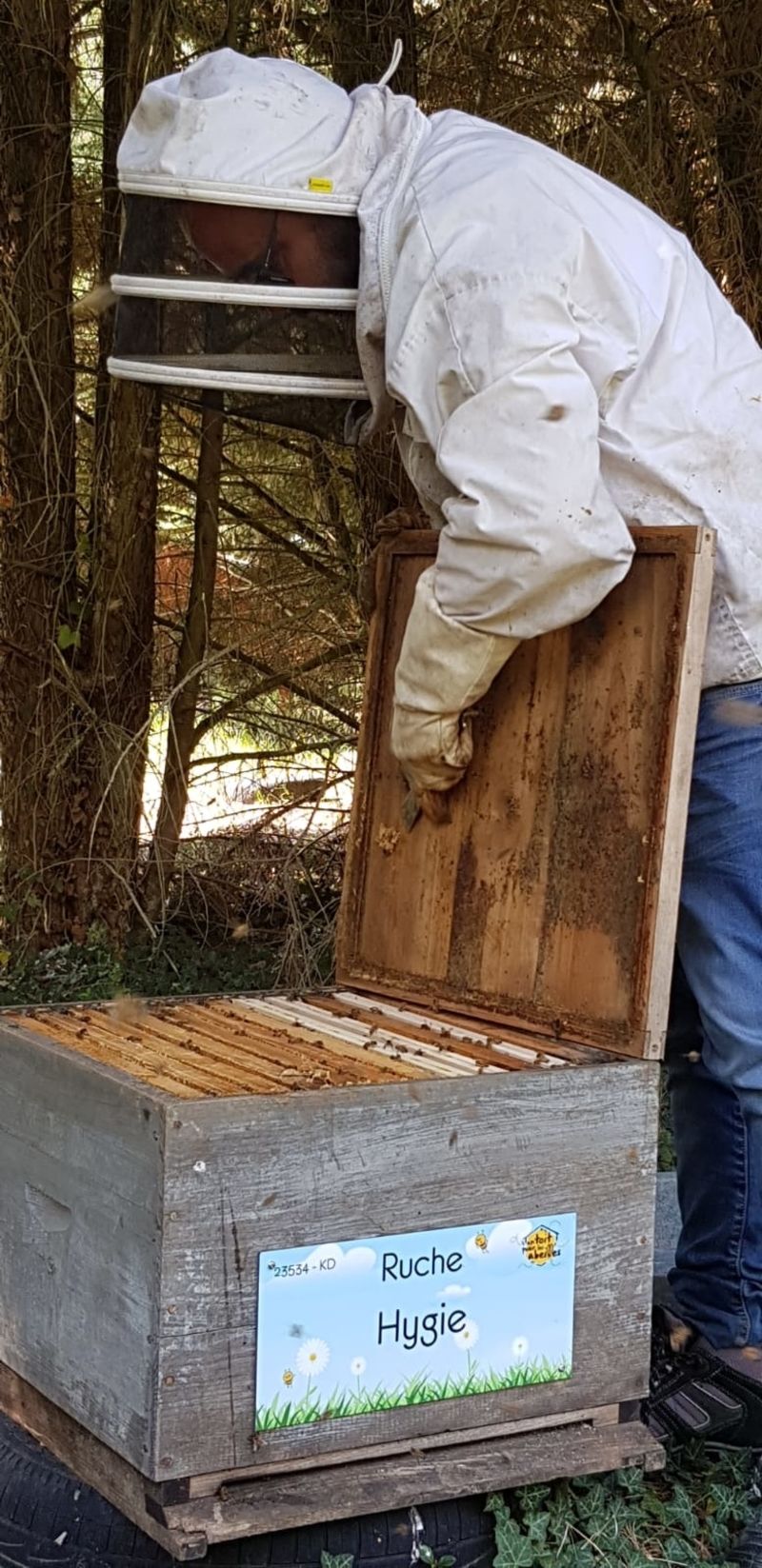 La ruche Hygie
