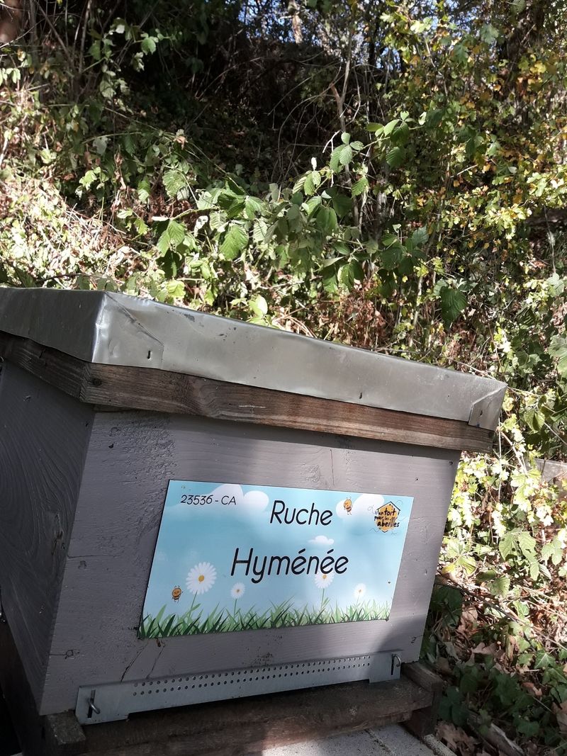 La ruche