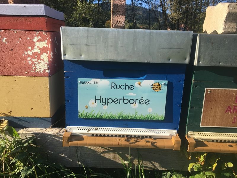 La ruche