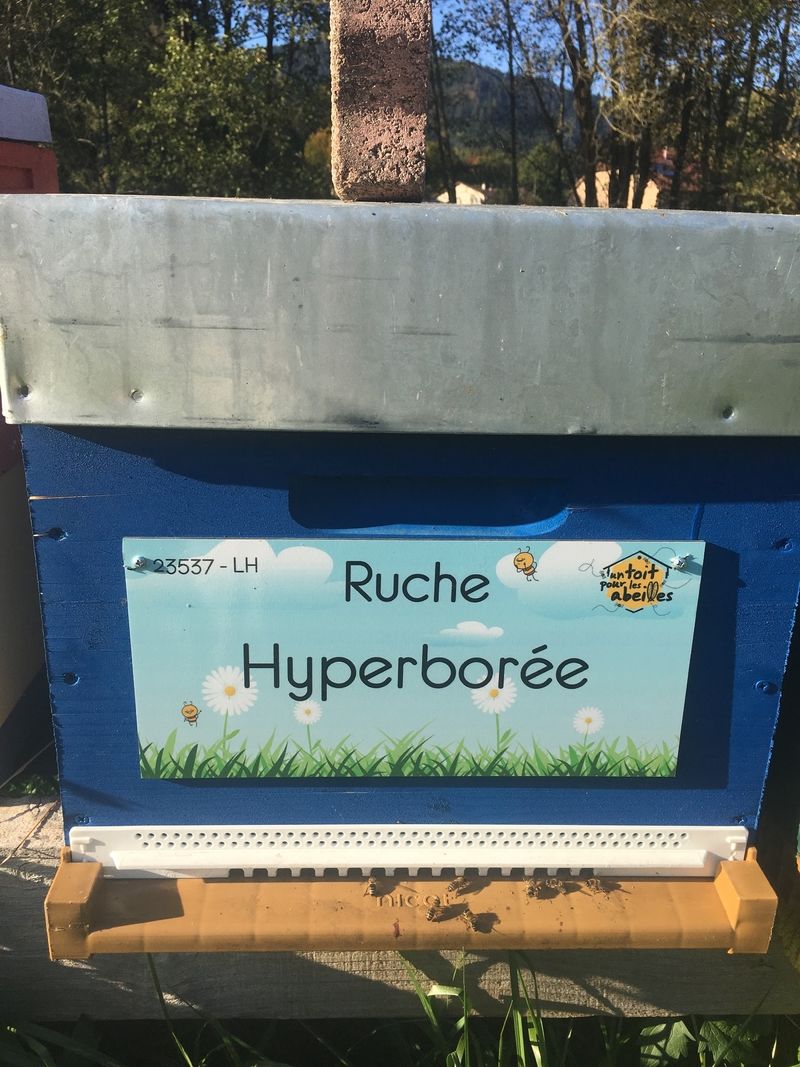 La ruche Hyperborée