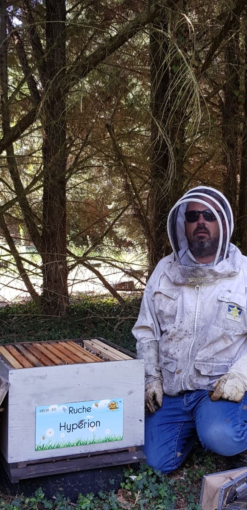 La ruche Hypérion