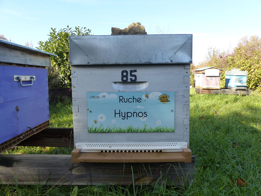 La ruche Hypnos