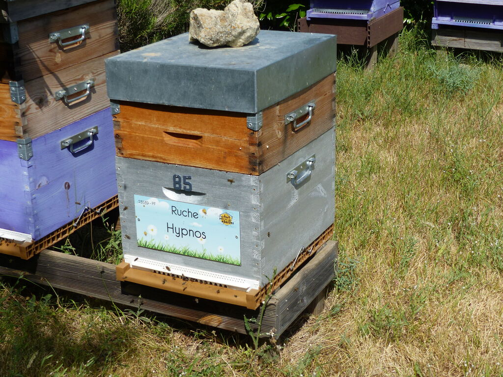 La ruche Hypnos