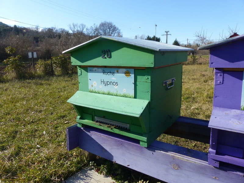 La ruche Hypnos