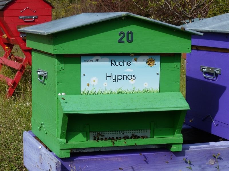 La ruche