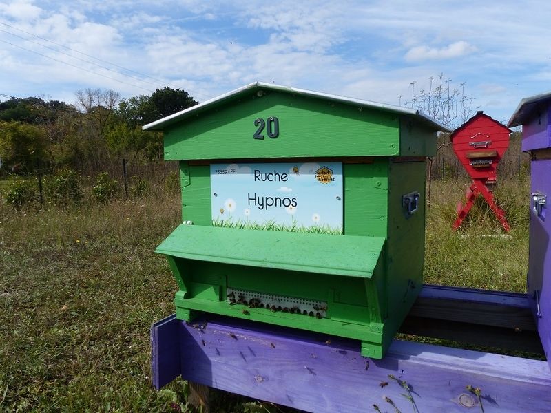 La ruche Hypnos