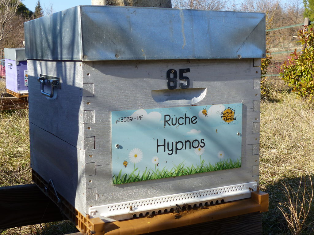La ruche Hypnos