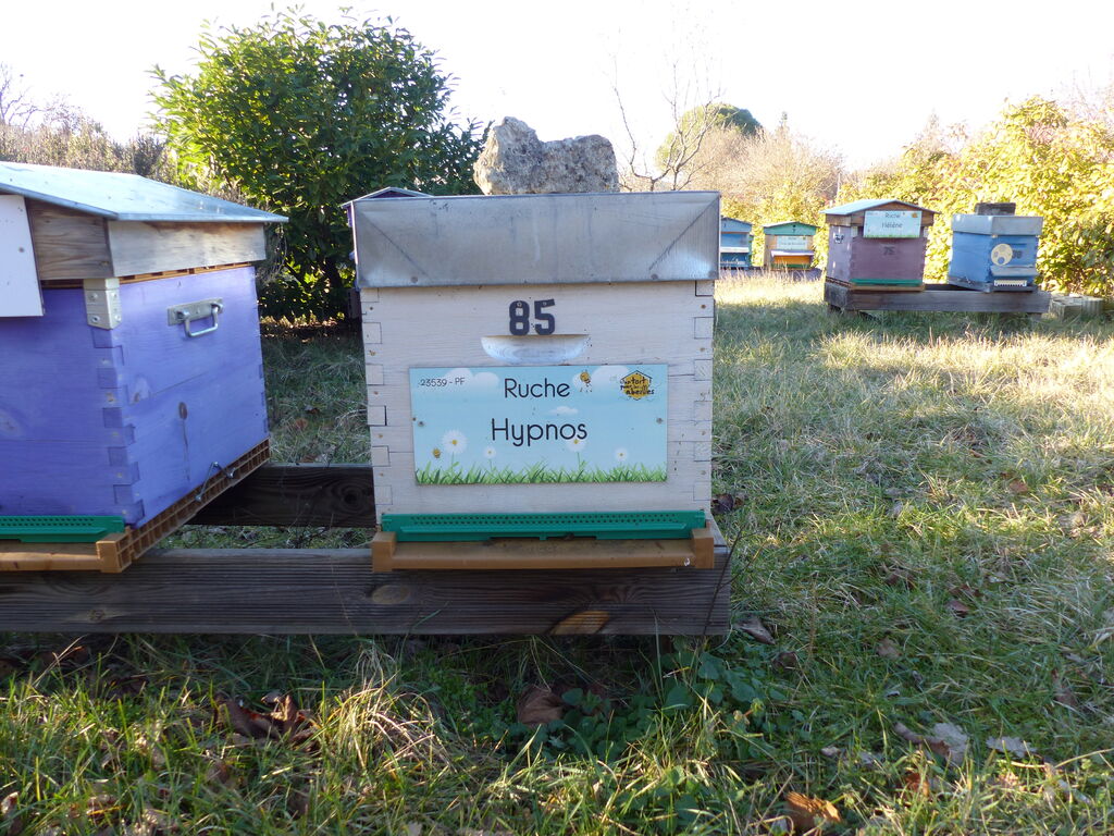 La ruche Hypnos